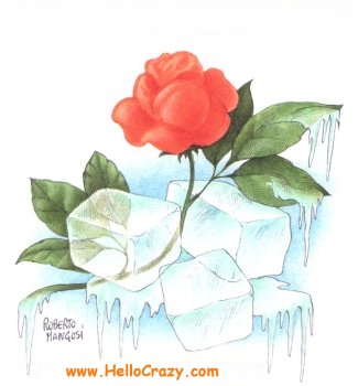 rose