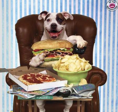 Une petite faim ????