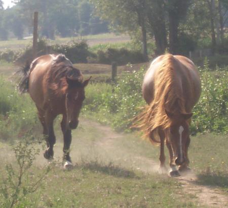 Kelie et entete