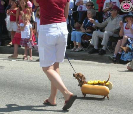 Hot dog