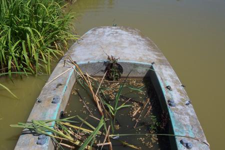 Barque