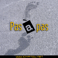 pas à pas ...