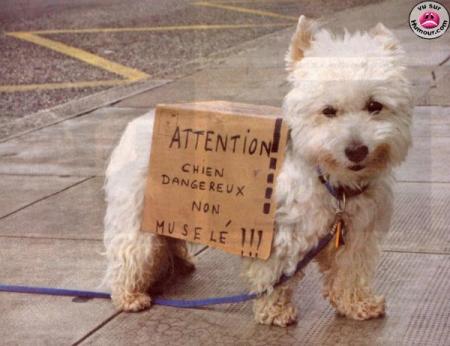 ATTENTION