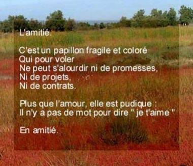 Dédier a toute nos amies qui se reconnaitrons surement